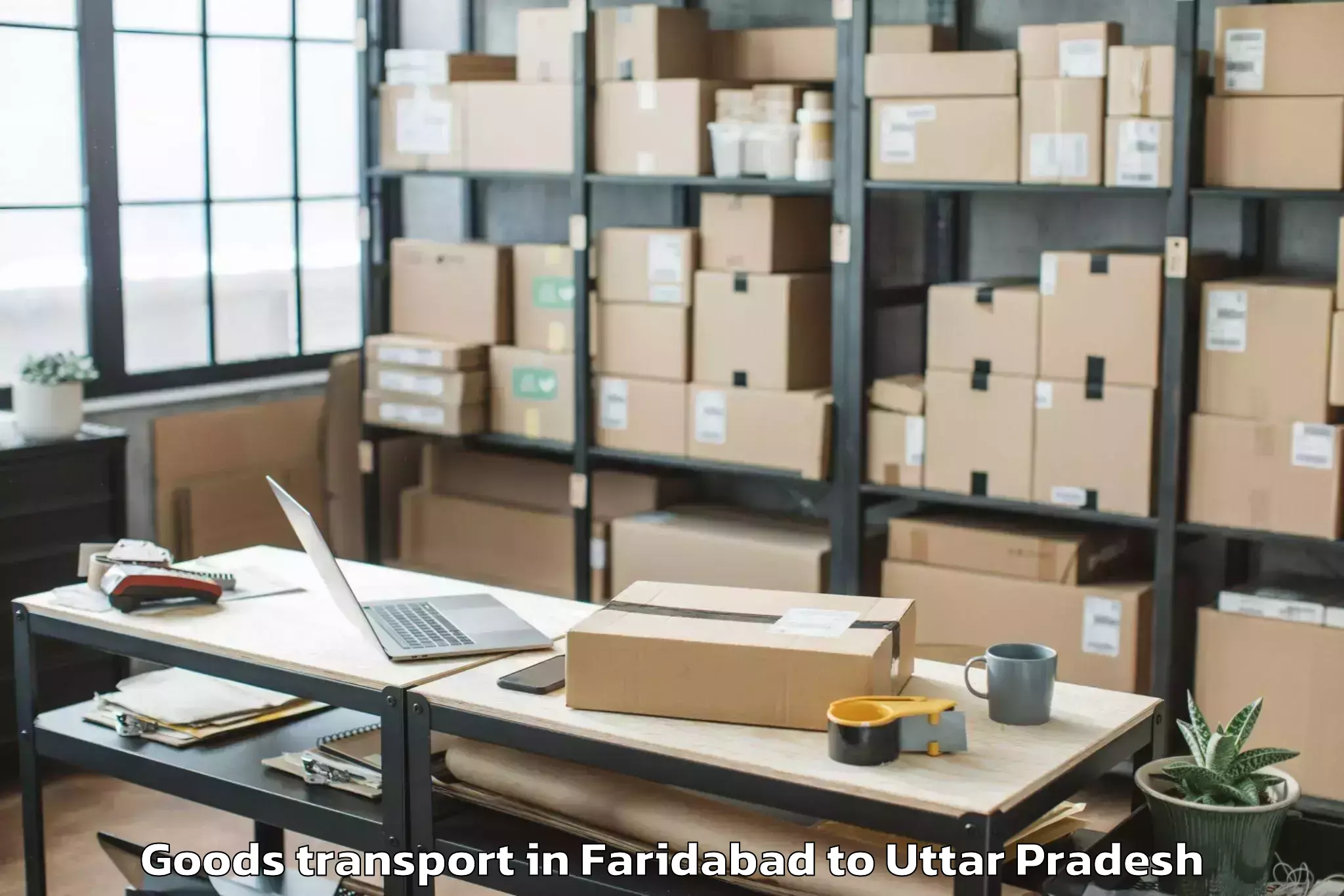 Professional Faridabad to Bindki Goods Transport